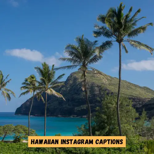 Hawaiian Instagram Captions