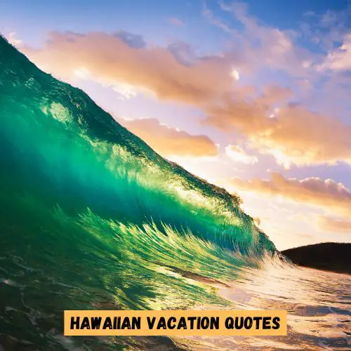 Hawaiian Vacation Quotes