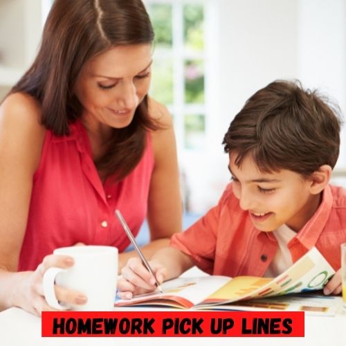 Homework Pick up Line