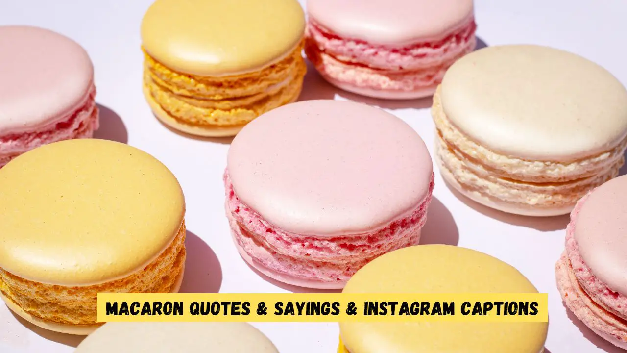 Macaron Quotes & Sayings & Instagram Captions