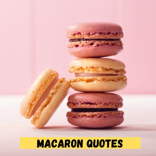 Macaron Quotes