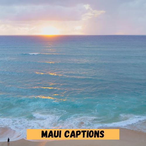 Maui Captions