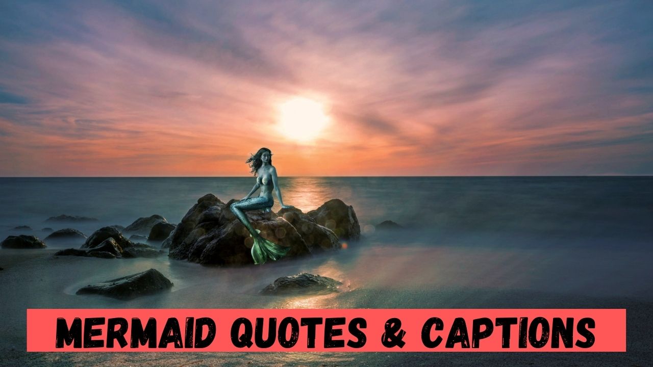 Mermaid Quotes & Captions[