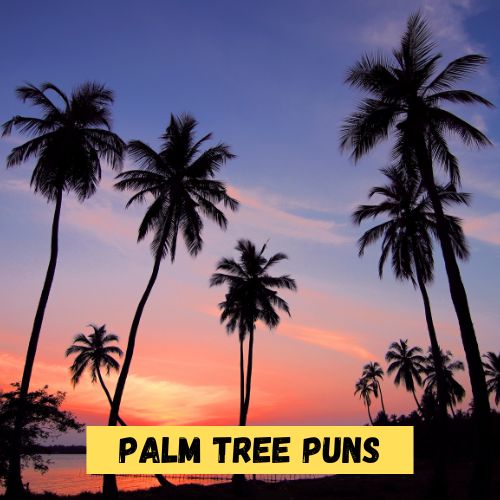 Palm Tree Puns