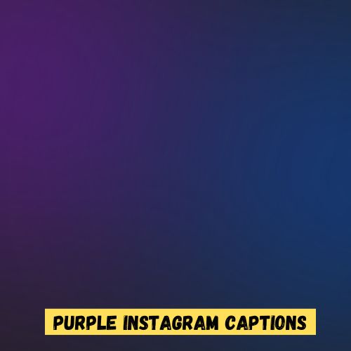 Purple Captions & Quotes for Instagram [Hair/Lavender/Dress] 1