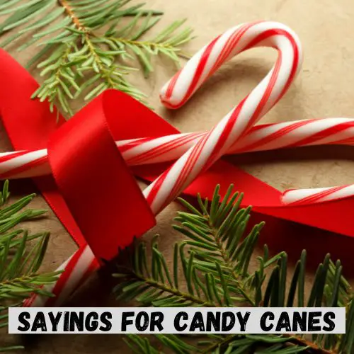 Sayings for Candy Canes