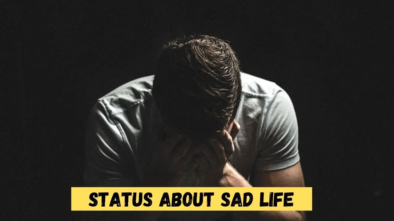 Status about Sad Life