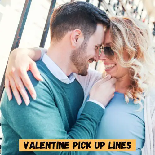 Valentine Pick up Lines