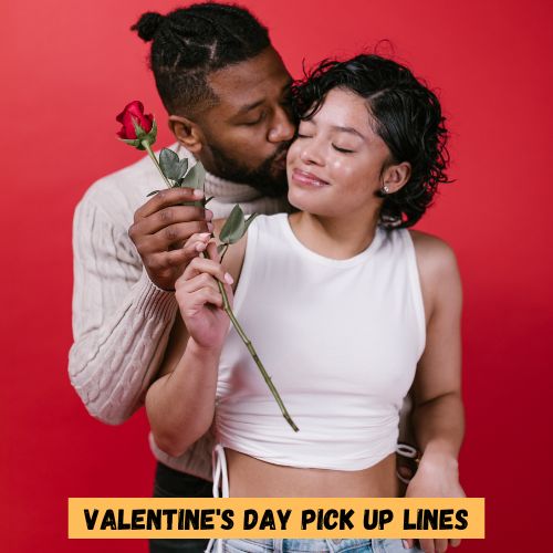Valentine's Day Pick up Lines