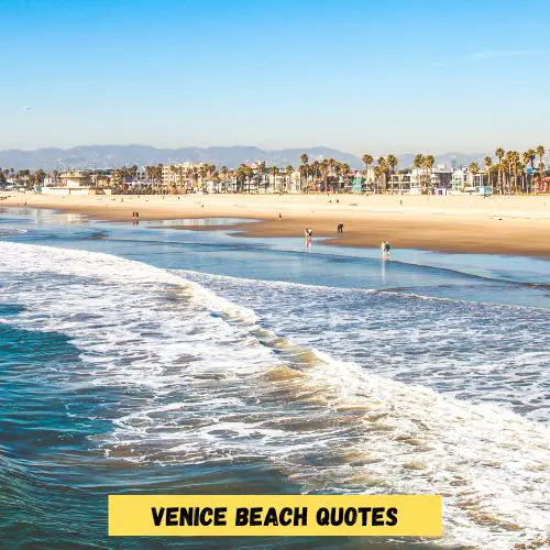 115+ Los Angeles Captions, Quotes & Puns [Venice/Beverly] 1