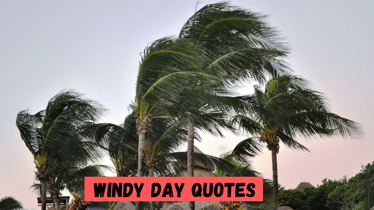 Windy Day Quotes