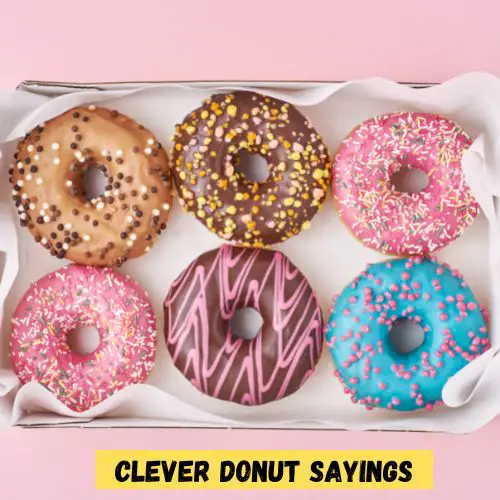 Clever Donut Sayings