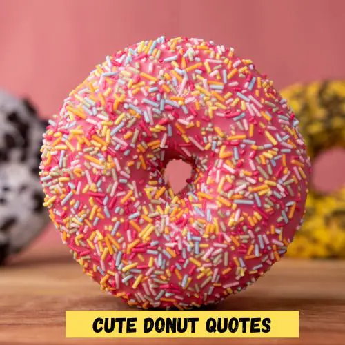Cute Donut Quotes