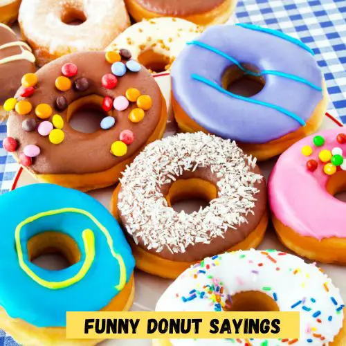 Funny Donut Sayings
