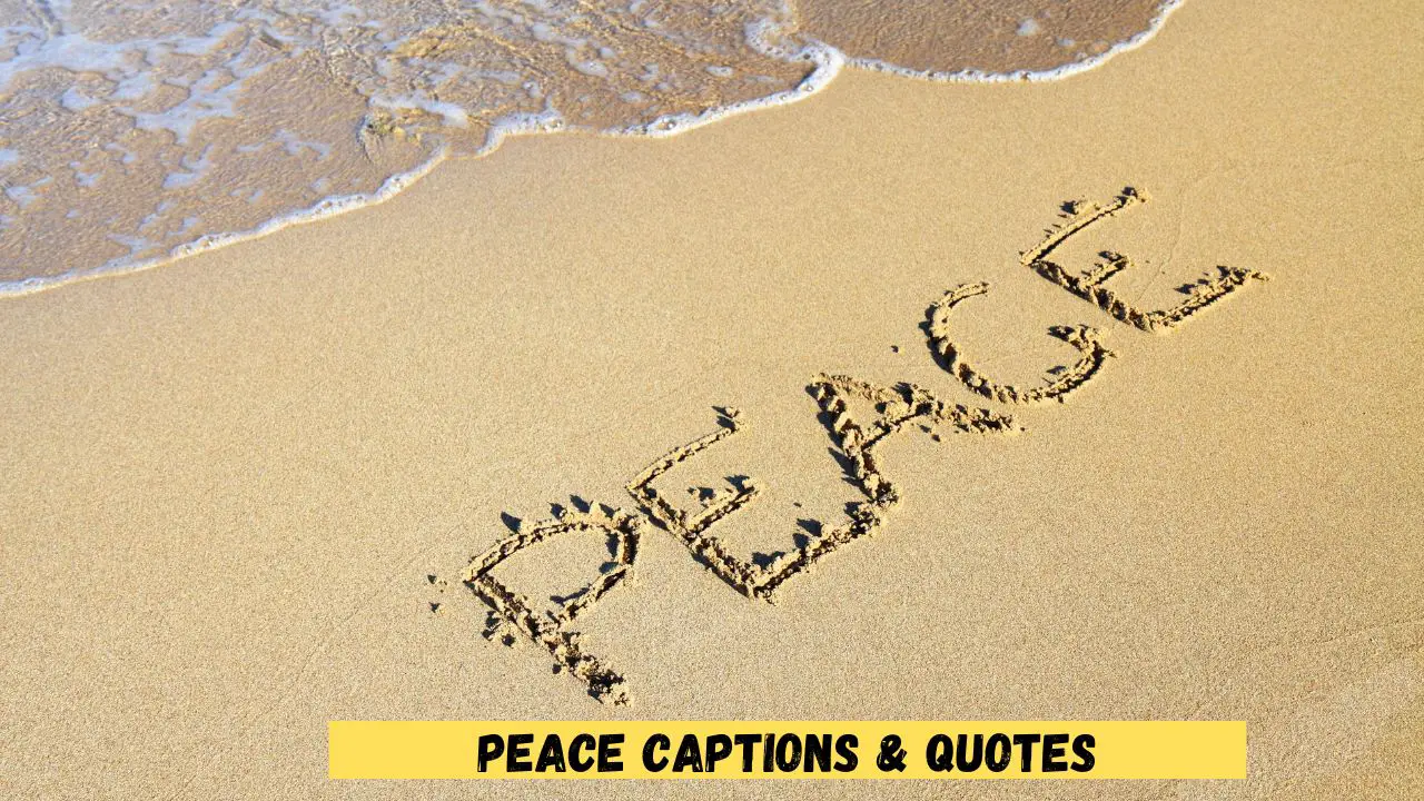 Peace Captions & Quotes