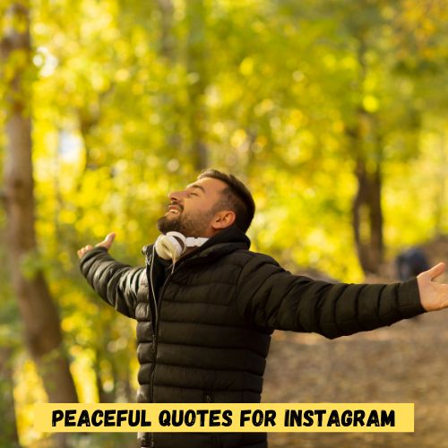 69+ Peace Captions & Quotes 1