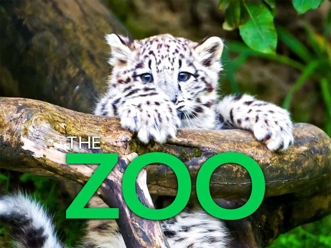The Zoo Season 6 Episode 1 Release Date