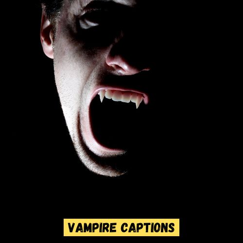 Vampire Captions
