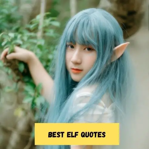 Best Elf Quotes