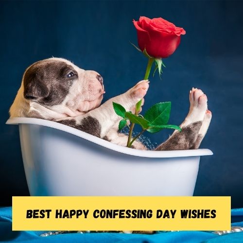 Best Happy Confessing Day Wishes