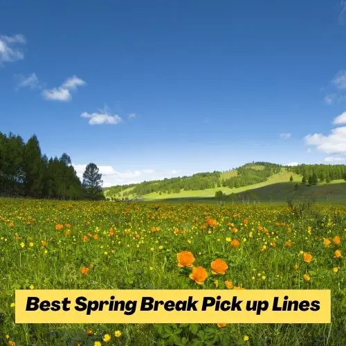 Best Spring Break Pick up Lines
