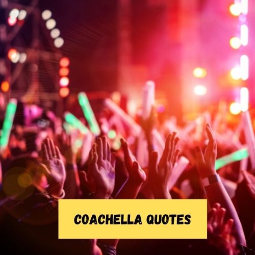 Coachella Quotes