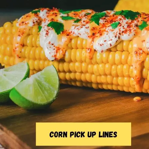 Corn Pick Up Lines
