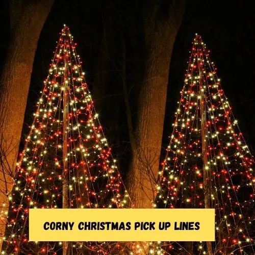 Corny Christmas Pick Up Lines