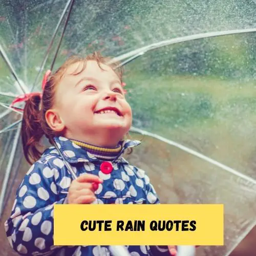 Cute Rain Quotes
