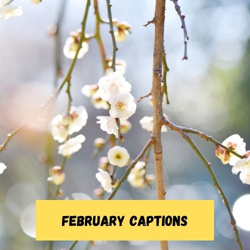 February Captions