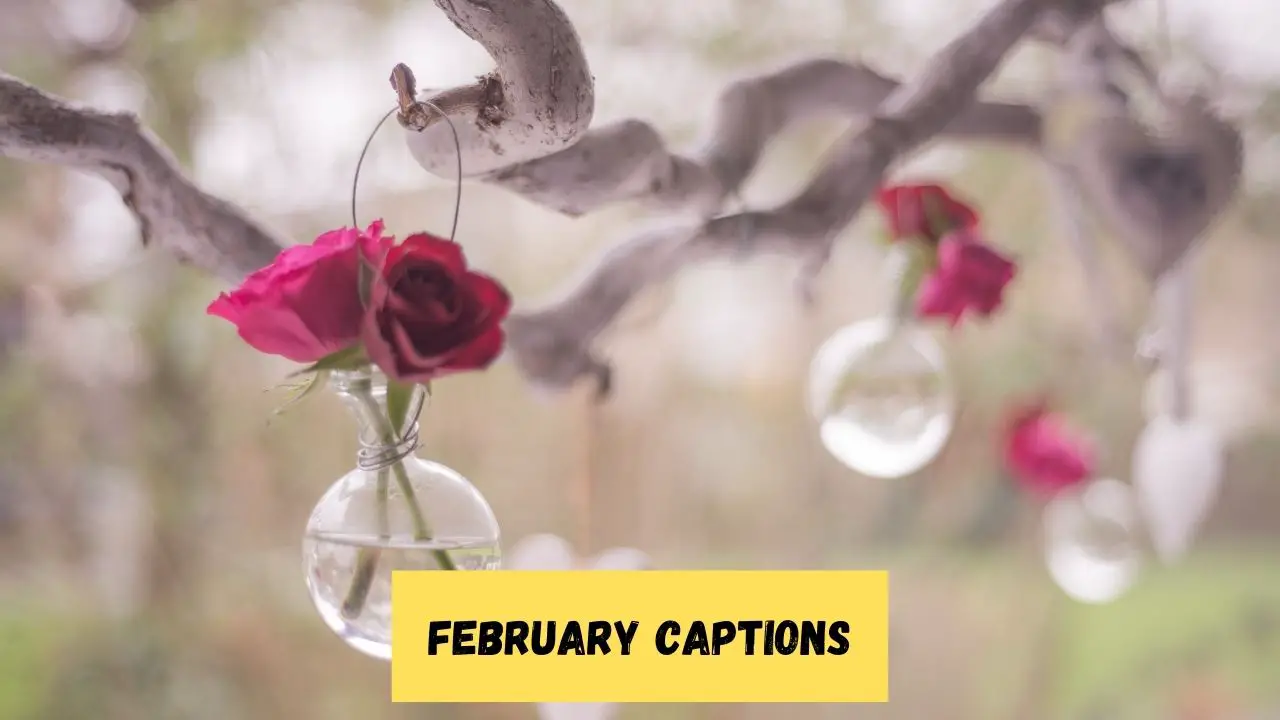 February Captions