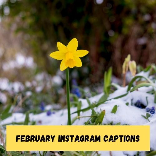 February Instagram Captions