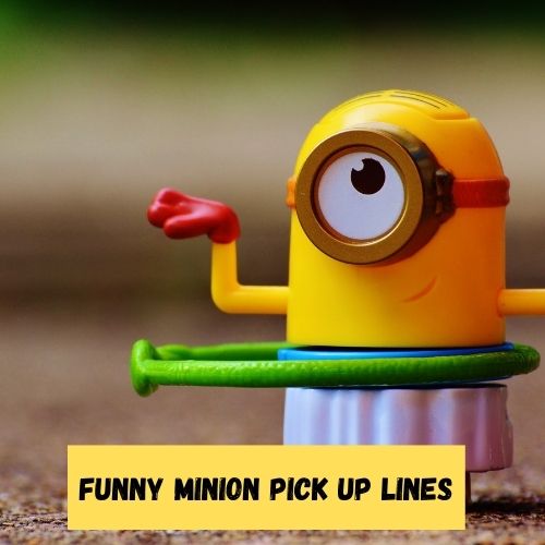 Funny Minion Pick Up Lines