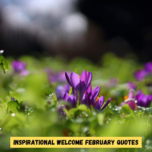 Inspirational Welcome February Quotes