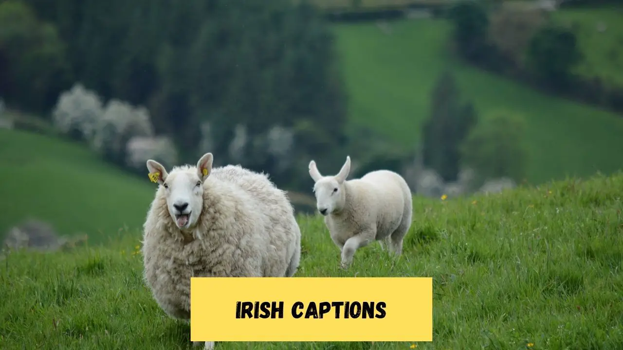 Irish Captions