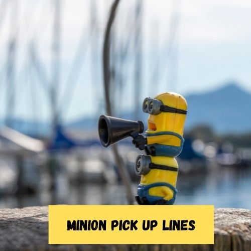 Minion Pick Up Lines