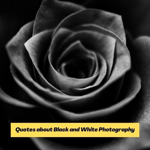 Quotes about Black and White Photography