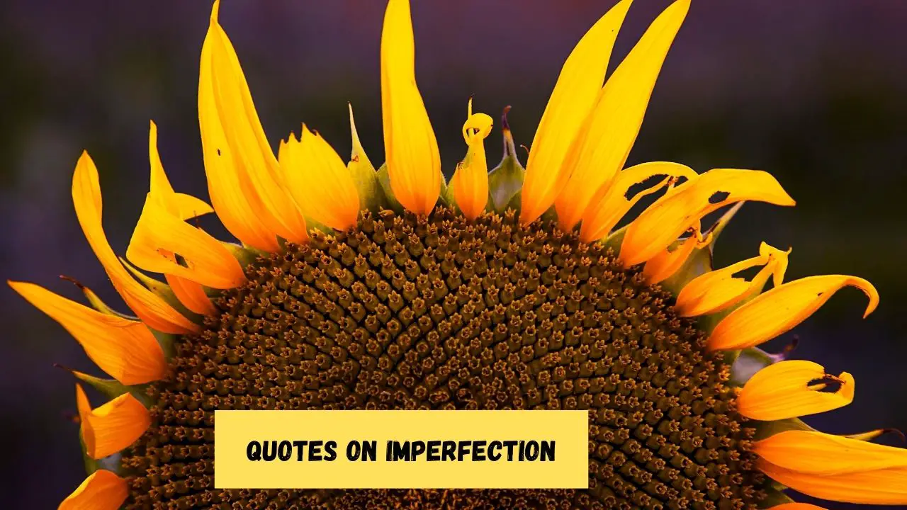Quotes on Imperfection