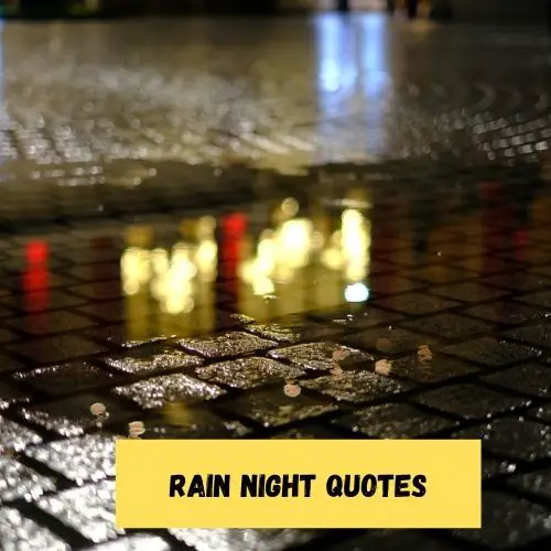 Rain Night Quotes