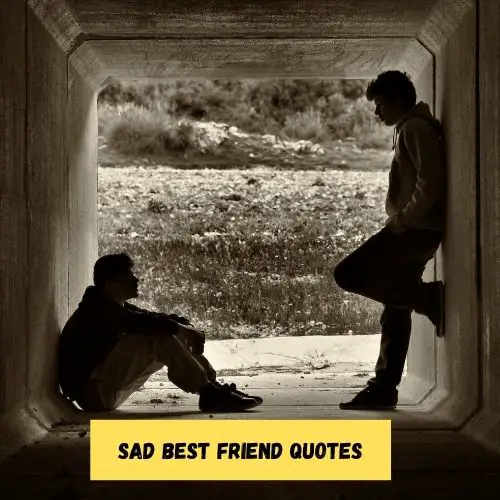 Sad Best Friend Quotes