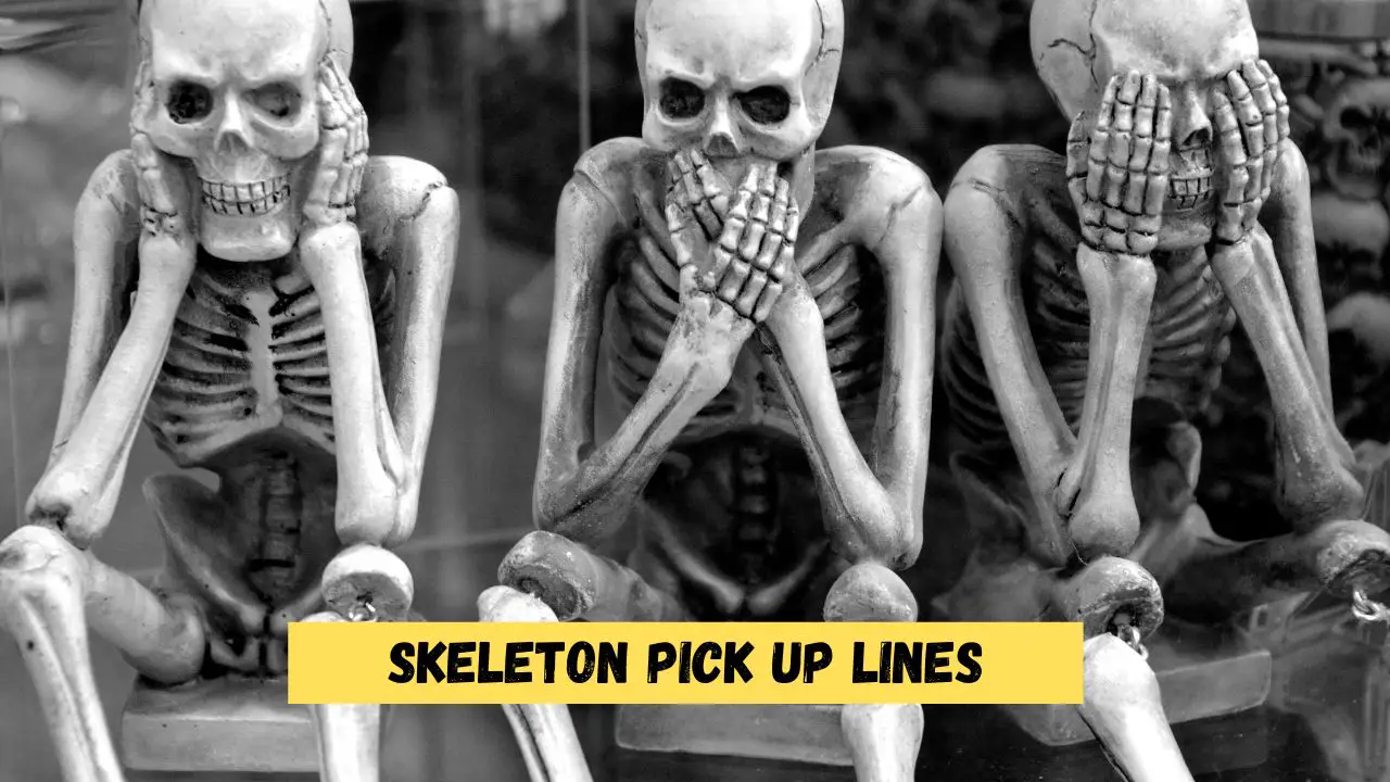 Skeleton Pick Up Lines