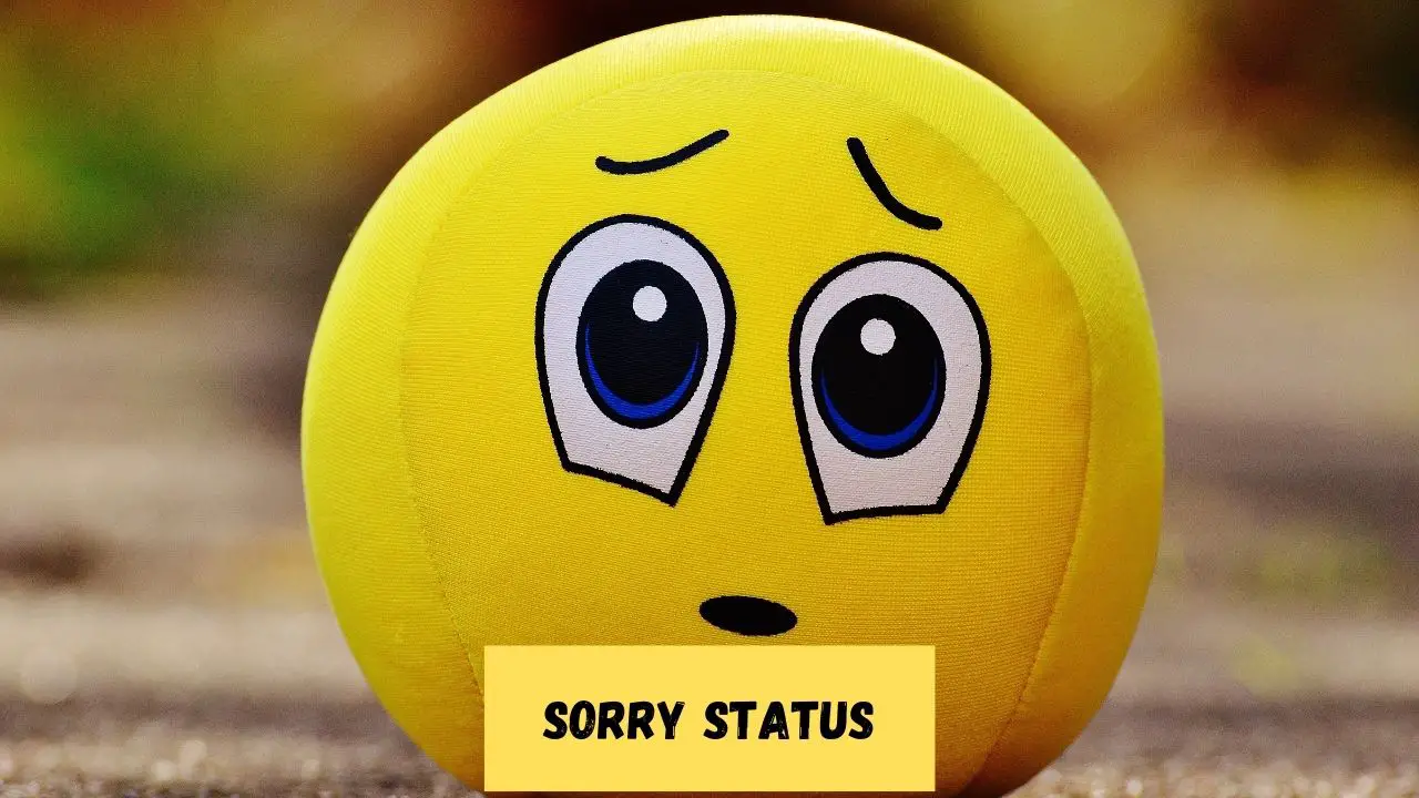 Sorry Status