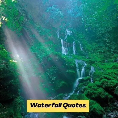 Waterfall Quotes