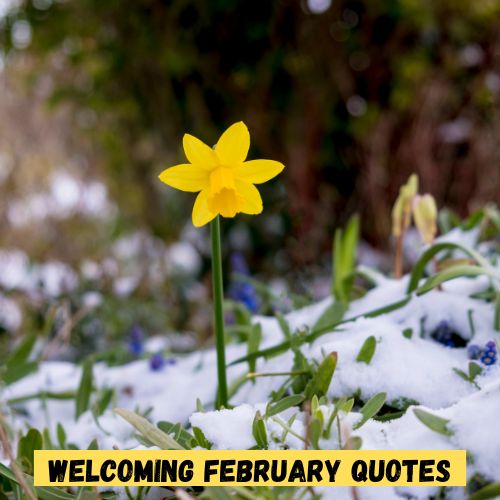 Welcoming February Quotes