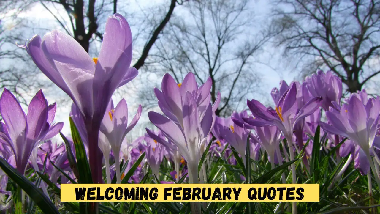 welcoming february quotes
