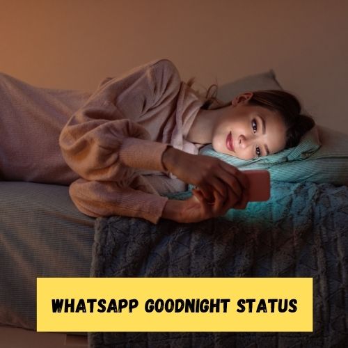 WhatsApp Goodnight Status