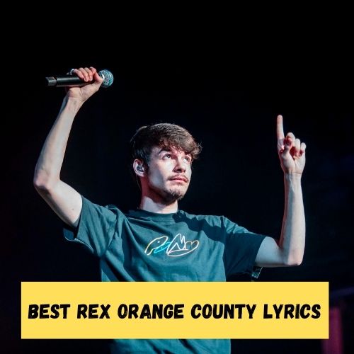 Best Rex Orange County Lyrics