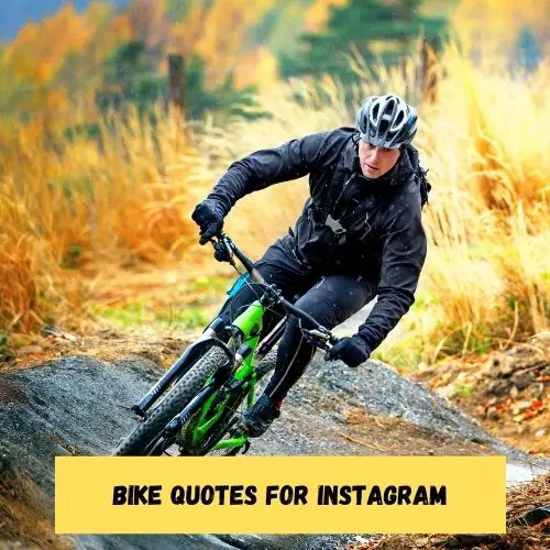 Bike Quotes for Instagram