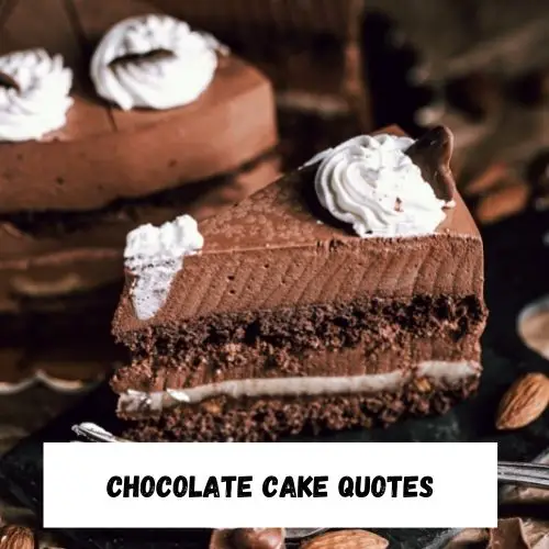 Chocolate Cake Quotes