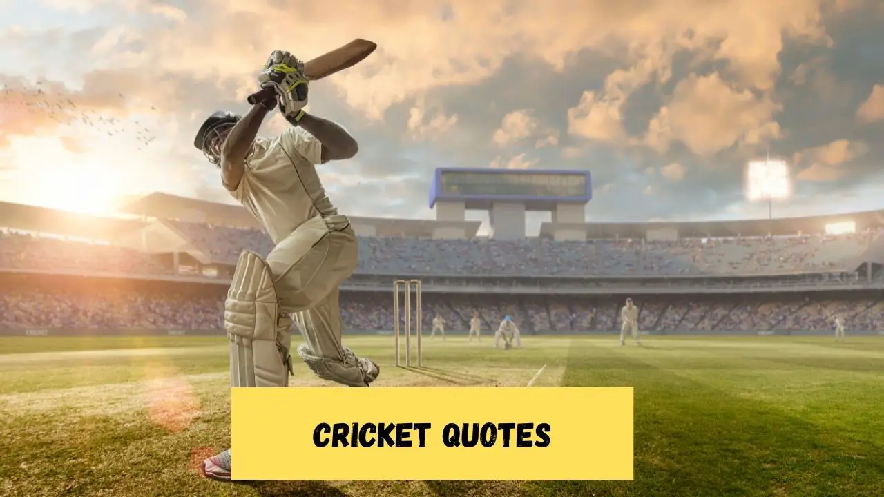 Cricket Quotes